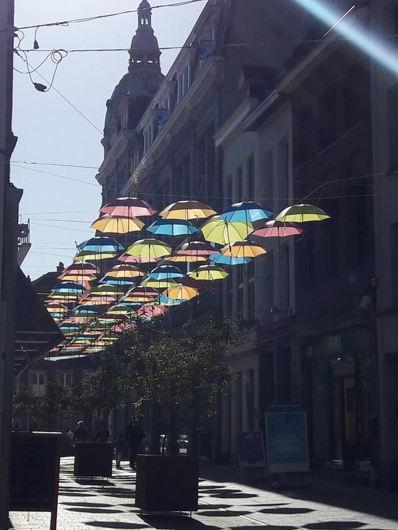 Lille Centre Ville, Beaux Arts Et Grand Palais, Bienvenue Chez Nestyou リール エクステリア 写真