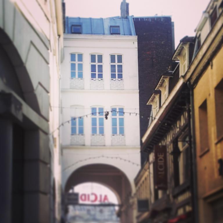 Lille Centre Ville, Beaux Arts Et Grand Palais, Bienvenue Chez Nestyou リール エクステリア 写真