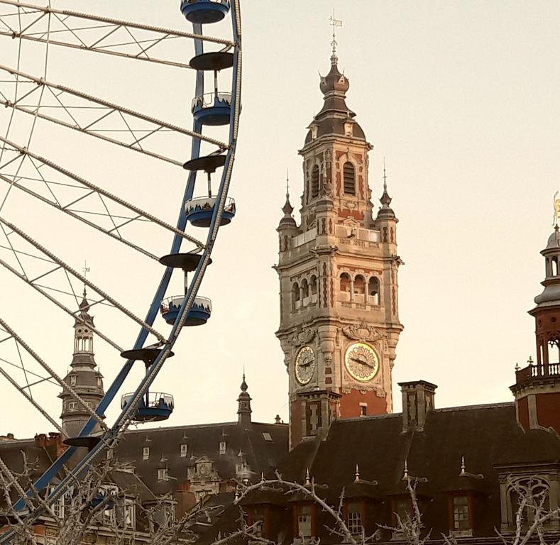 Lille Centre Ville, Beaux Arts Et Grand Palais, Bienvenue Chez Nestyou リール エクステリア 写真